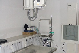 XRAY XRAY
